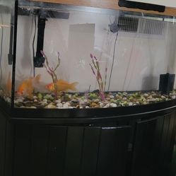 75 Gallons Aquarium For Sale