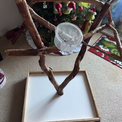 Parrot Perch Stand 