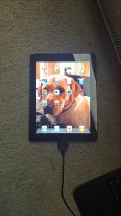 iPad