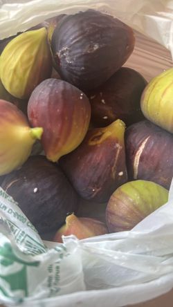Fresh picked figs