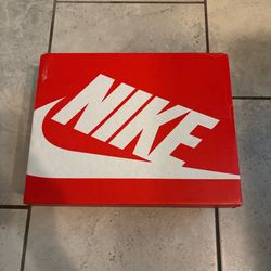 Nike Dunks Blue And White