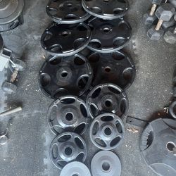 Hampton Olympic weights