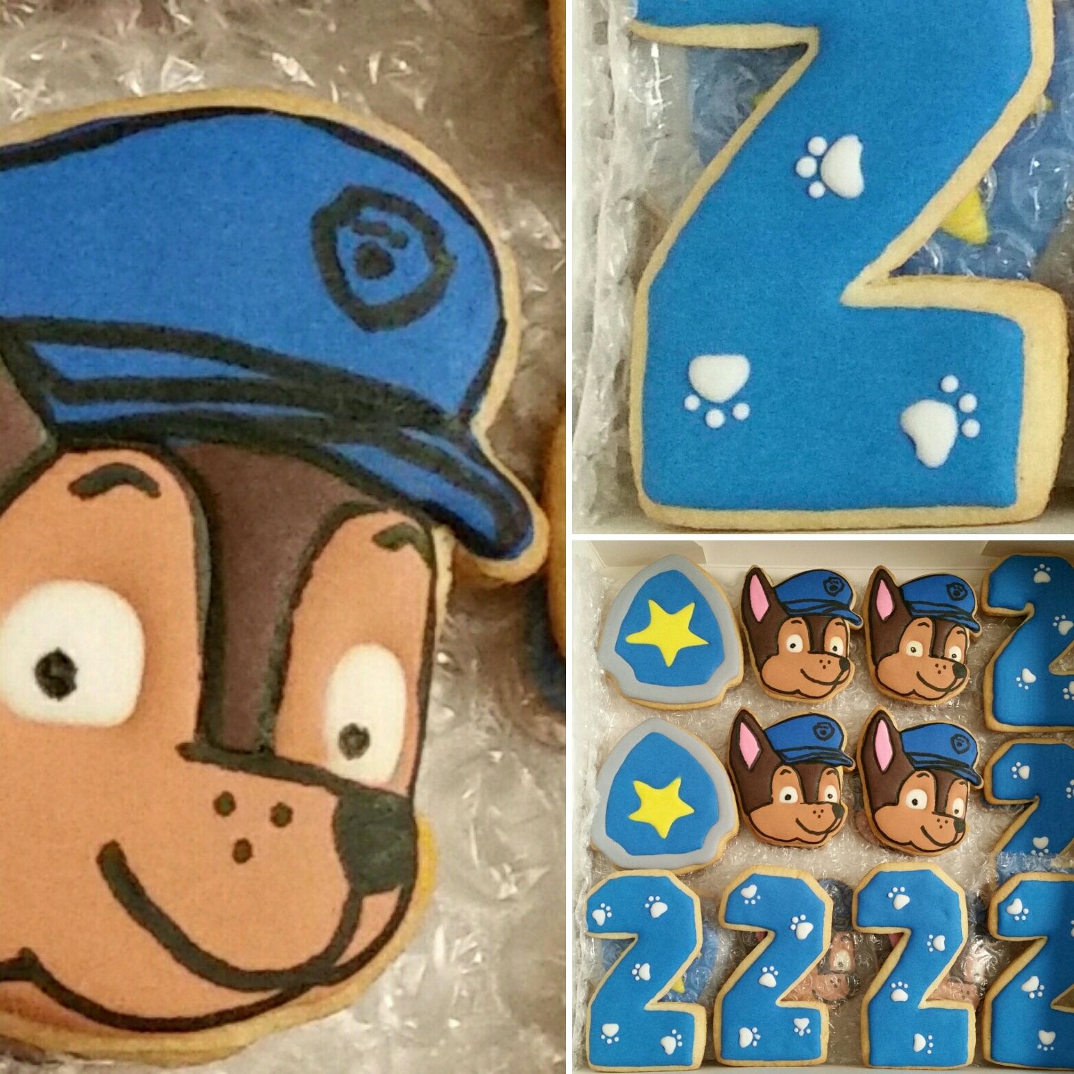 Chase Paw Patrol