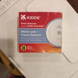 Leak And Freeze Detector