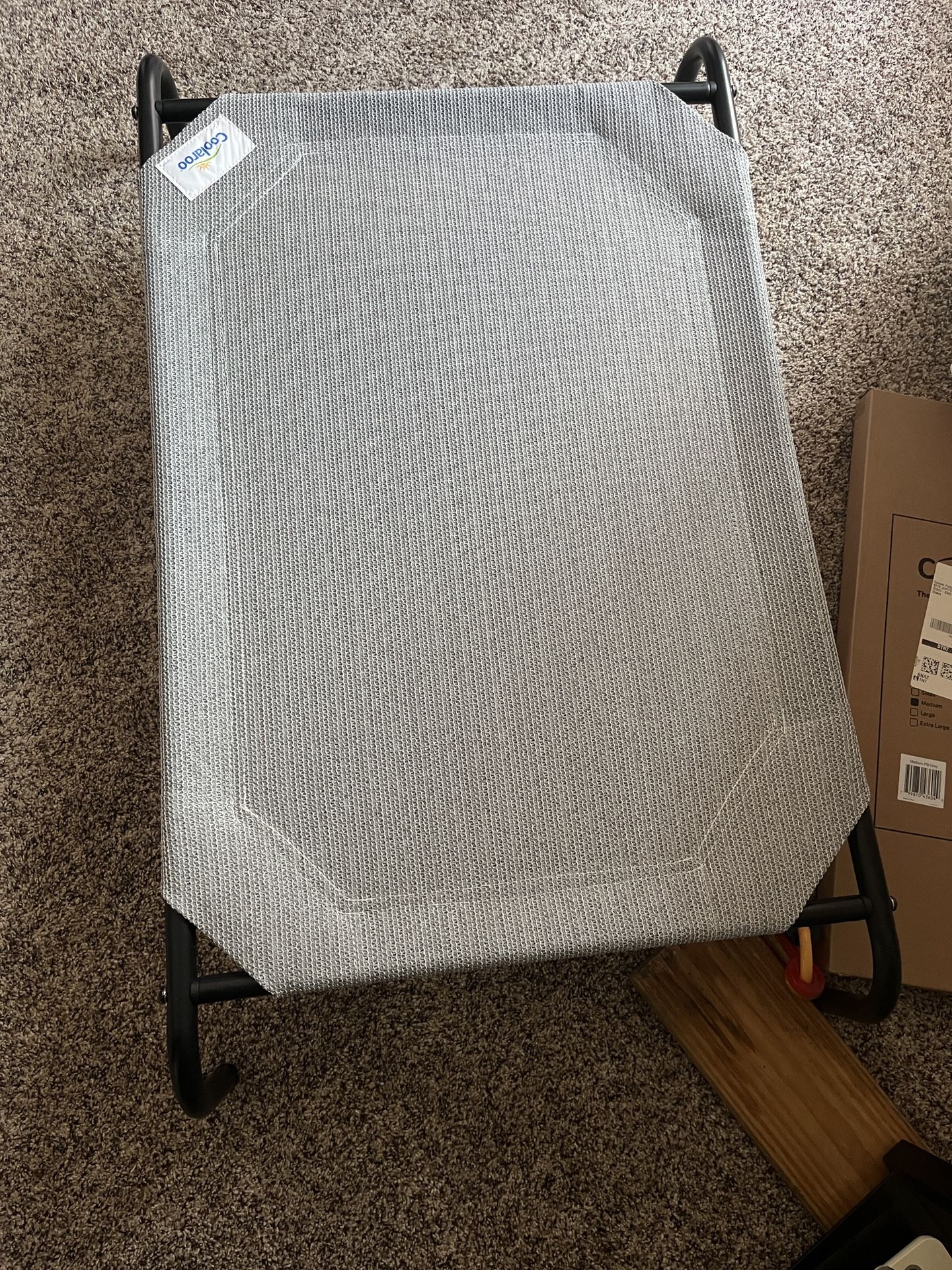 New Dog Bed