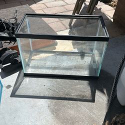 Fish Tank
