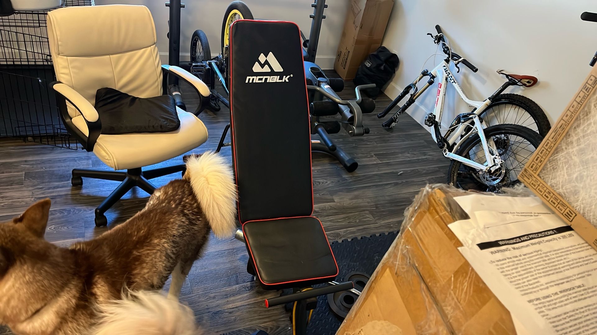 Dumbbell Bench