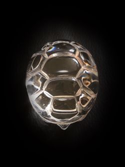 Rare Steuben Hand cooler turtle