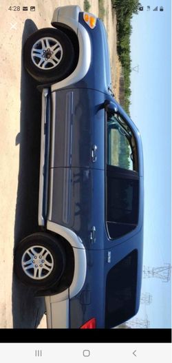 03 sequoia