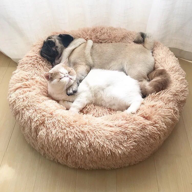 31.5”Large Fluffy Donut Pet Beds Great For Calming Anxious Dogs And Cats