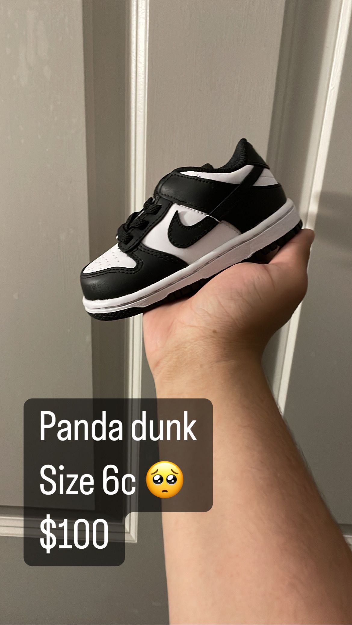 panda dunks 6c