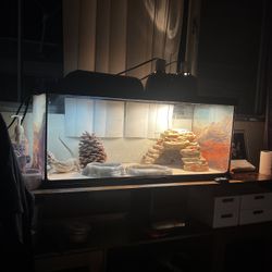 ZOO MED Reptile Tank 