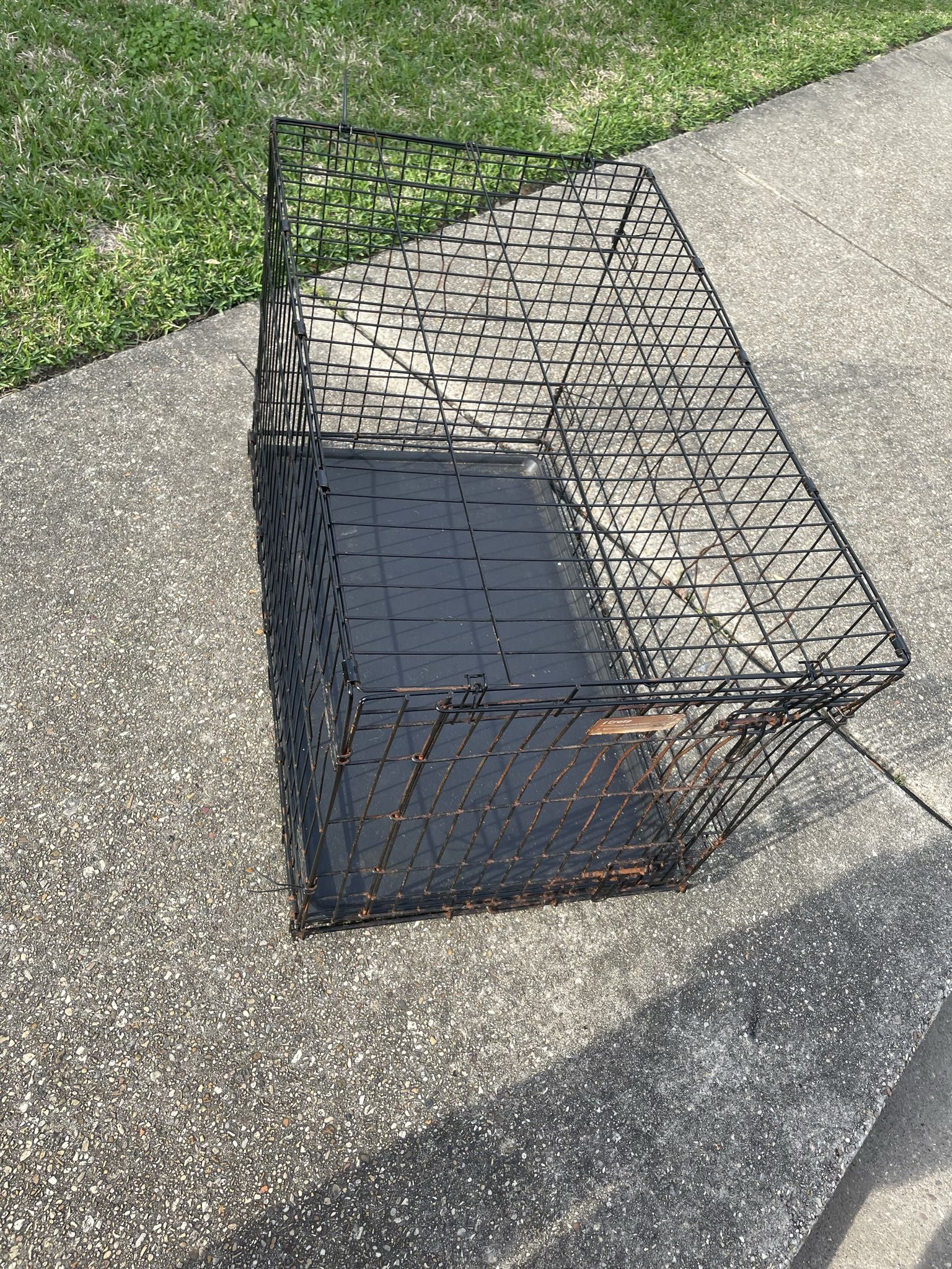 Large Dog Cage