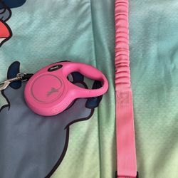 Retractable leash and seatbelt 