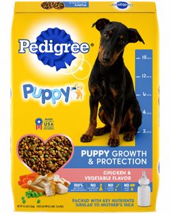 Doberman