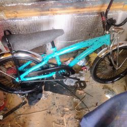 20 Inch Low Ride Bike 