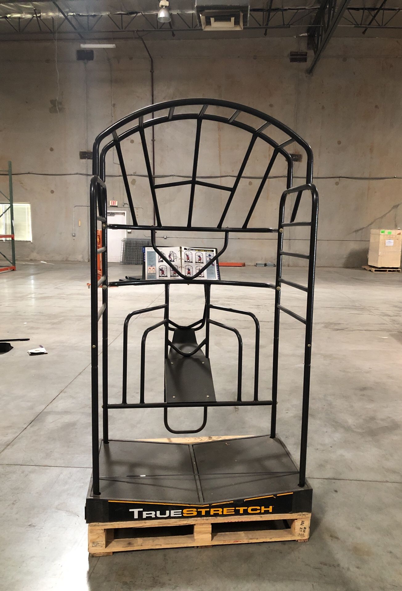 True Fitness Pro Gym Stretch Cage for Sale in Phoenix AZ OfferUp