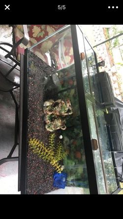 Fish tank