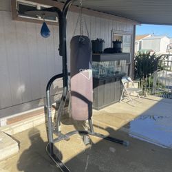 Everlast Punching Bag