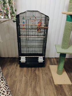 Bird Cage