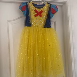 Snow White Costume 