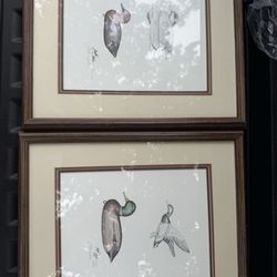 Two Jack Hahn Framed Duck Pictures 