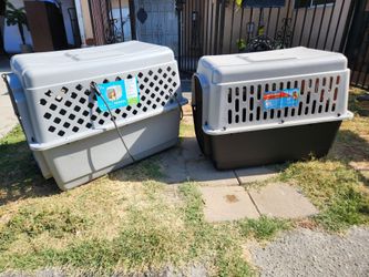Dog kennels