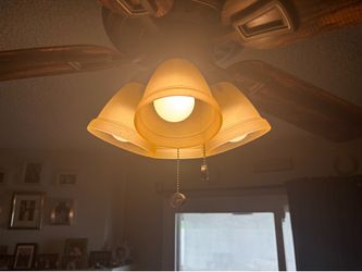 Two Hampton Bay 52” Fans