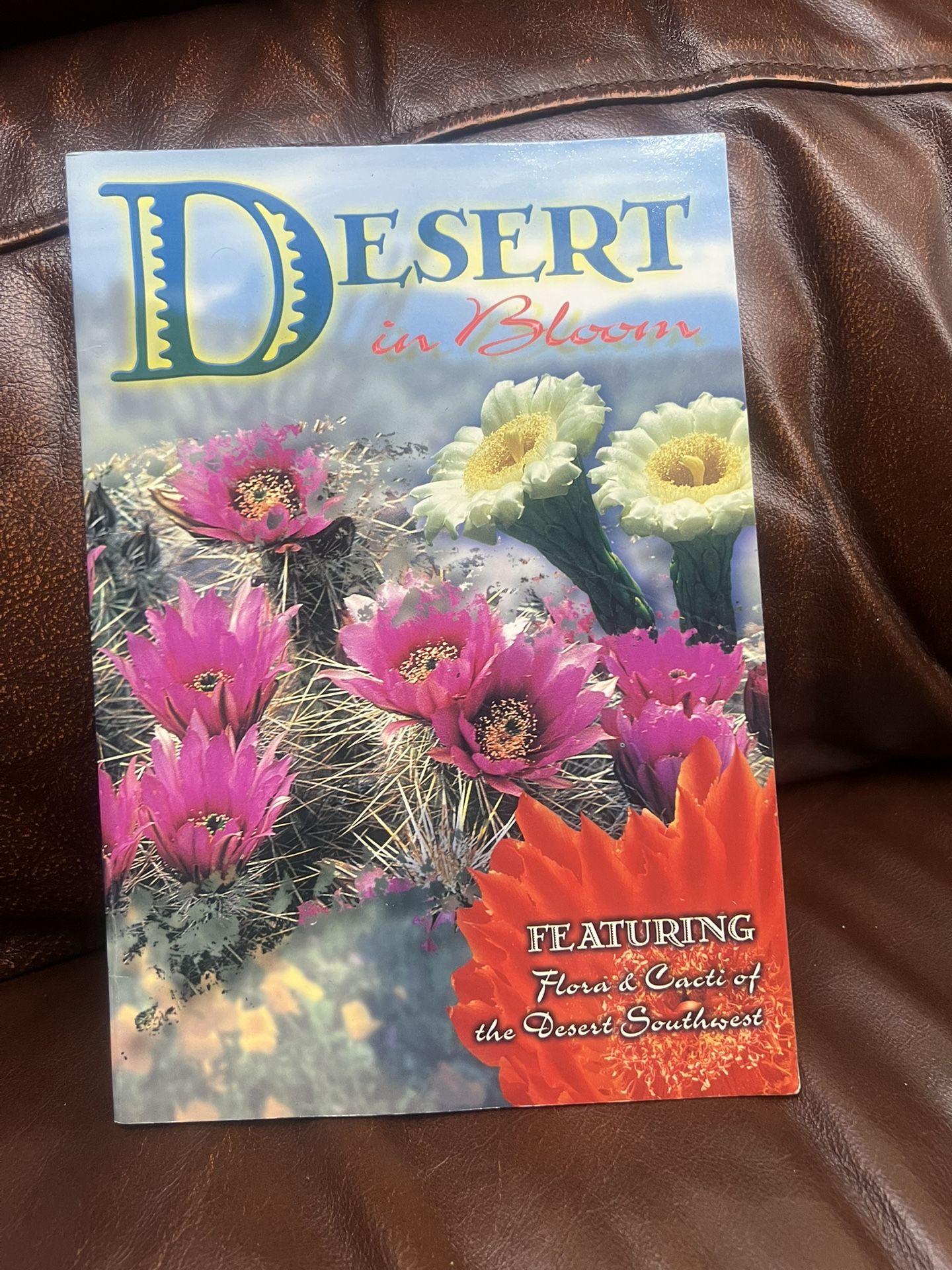 Desert in Bloom - Softcover photography book