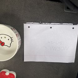 Hello Kitty Pet Bowl