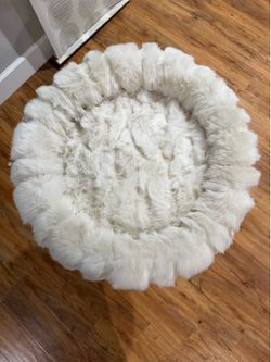 Cat scratcher