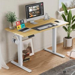Electric Standing Desk