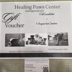 Healing Paws Acupuncture 4 Treatments 