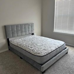 Elegance all size bed king queen twin full