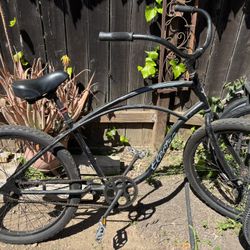 Beach Cruiser
