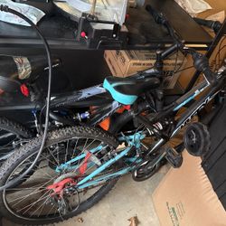 Two Mountain Bikes 