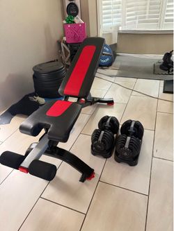 Bowflex adjustable weights 5-52.5lbs plus Bowflex adjustable bench
