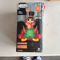 Used Turkey Blow Up