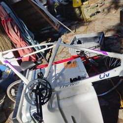 Liv - Thrive aluminum technology bicycle frame