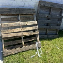 FREE Palettes 