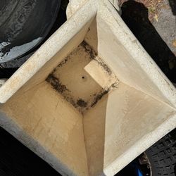 Concrete lion planter