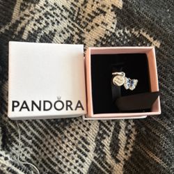 Pandora Charm