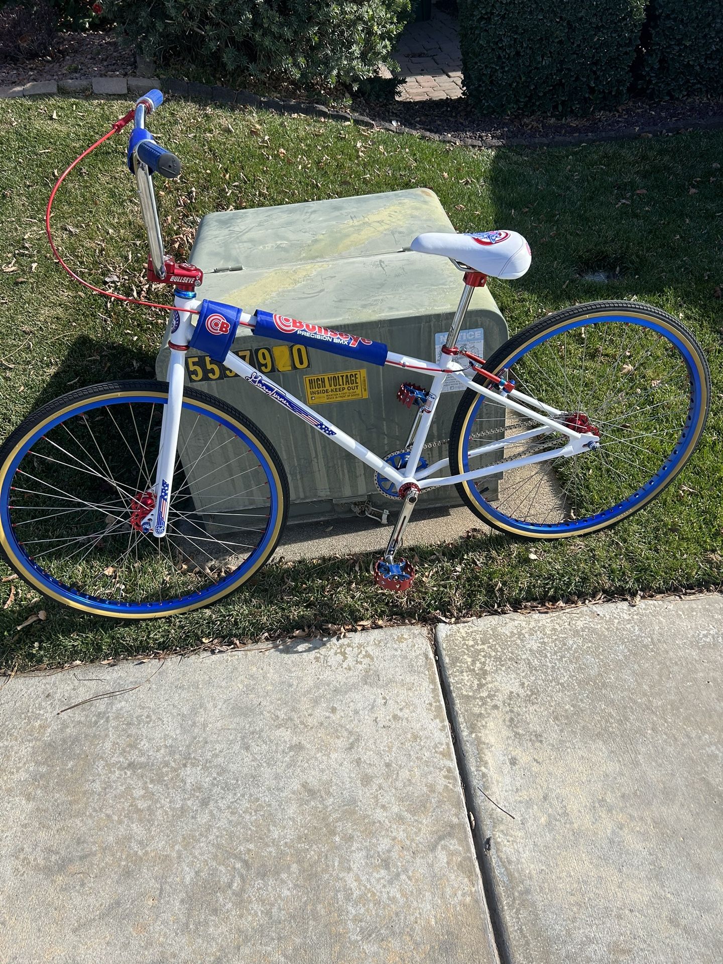 29β BMX BIKE GARY TURNER BULLSEYE BUILD