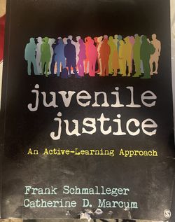 Juvenile Justice Textbook