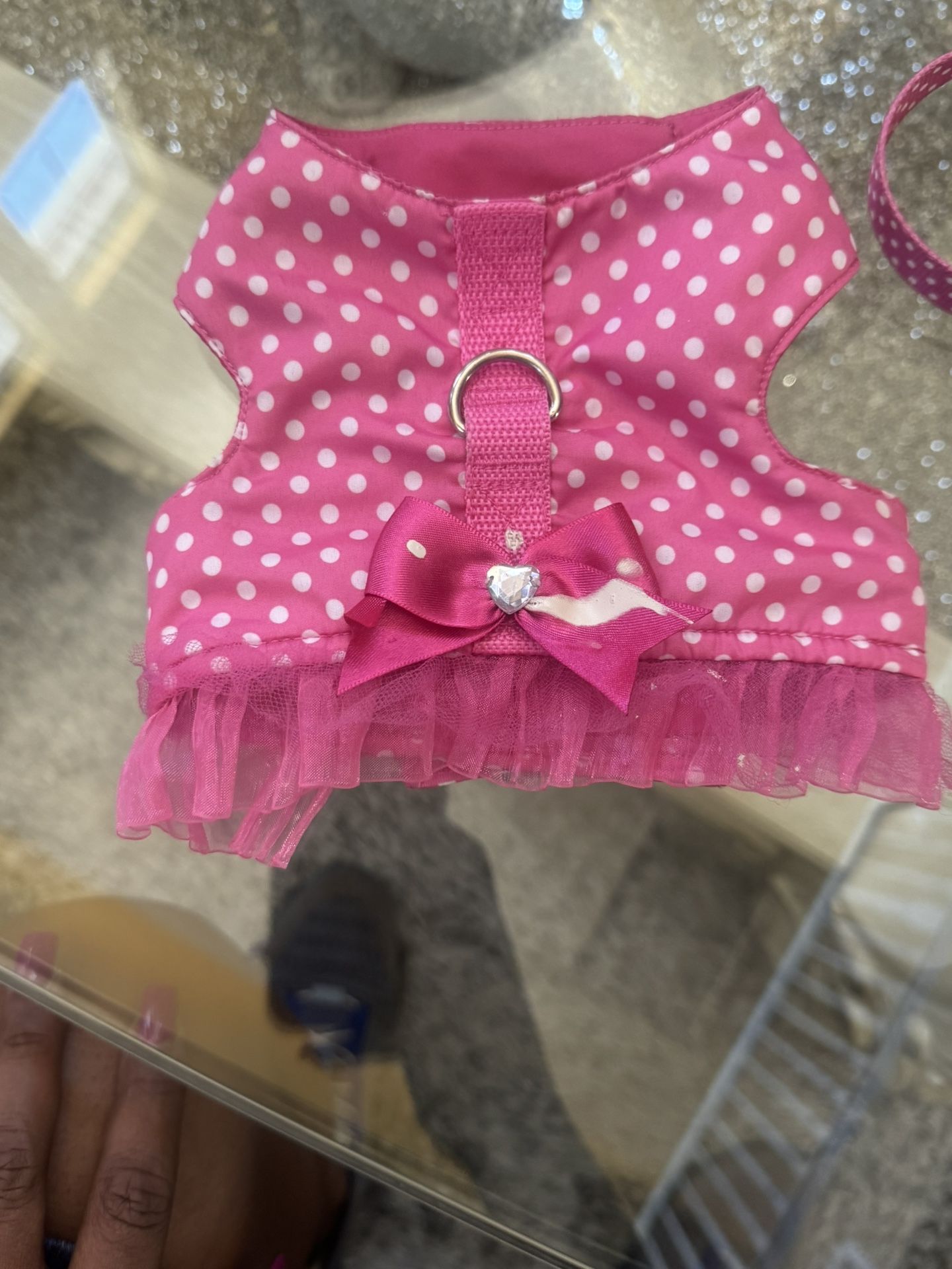 ExSmall LuLu pink dog leash And Matching Vest