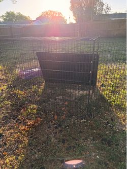 XXL dog crate