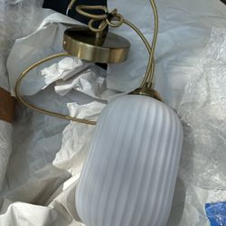 2 Pendant Light Fixtures