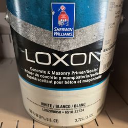 Loxon Sherwin Williams Masonry Primer