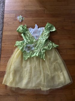 Princess Tiana Costume