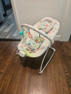 Baby Bouncer